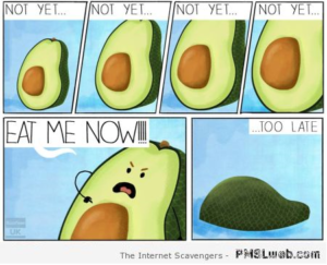 avocados ripen cartoons pmslweb