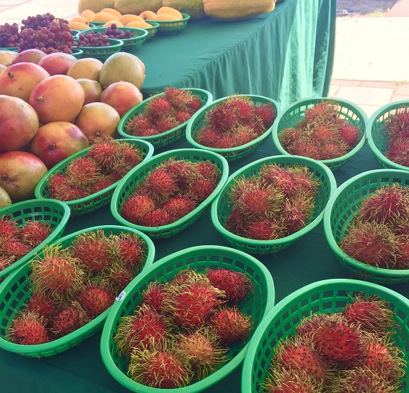 Farmers Market Mediterranean Diet