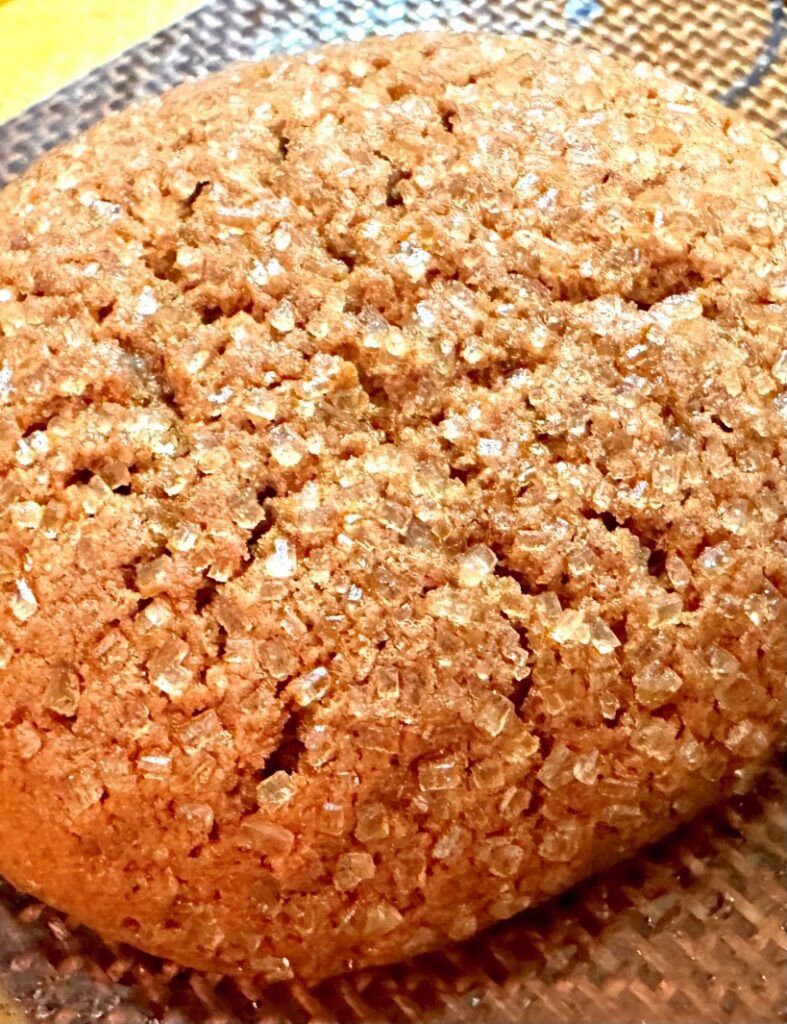 Close up of Olive Oil Molasses Dessert Cookie with Einkorn Flour